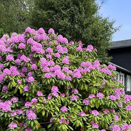 4 Bedroom In Deknepollen بيت للعطل *